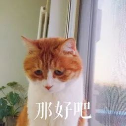 微信圖片_20200927140927.jpg 微信圖片_20200927140927.jpg